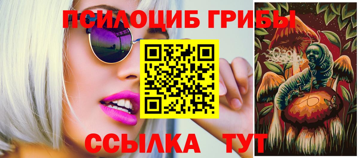 Псилоцибиновые грибы Psilocybine cubensis Нурлат