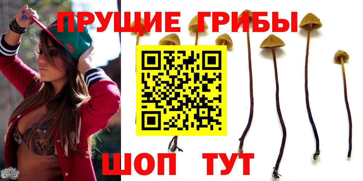 Псилоцибиновые грибы GOLDEN TEACHER  Галлюциногенные грибы Cubensis  Нурлат  Вход с VPN 